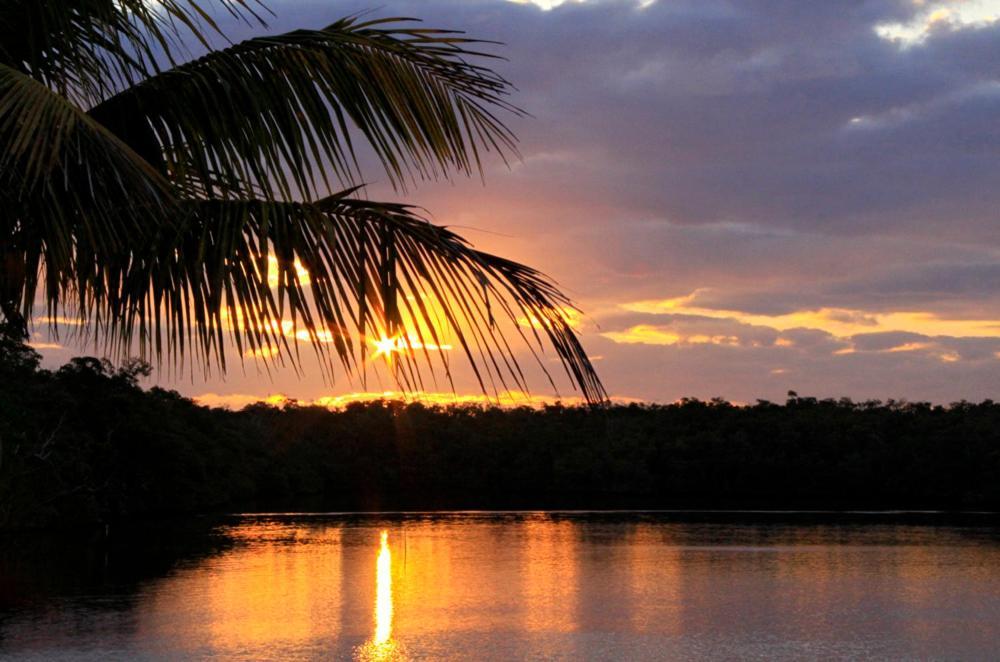 River Wilderness Waterfront Cabins Everglades City Bagian luar foto